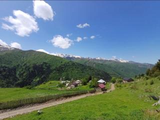 Mariiko - - 2