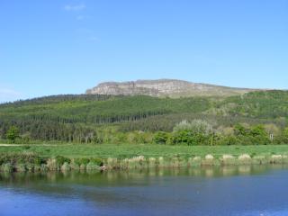 Swanns Bridge Glamping - 1