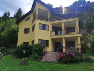 Casă de vacanță Tarnița - 1