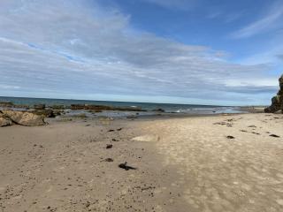 A13 - Beach Haven at Silversands - Lossiemouth - 3