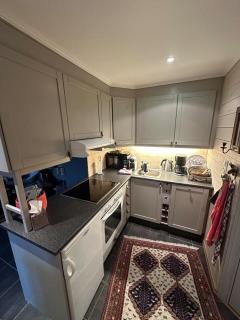 Ski in-ski out leilighet Hemsedal - 6