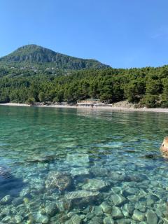 Mariyka Apartaments 2 - Sutomore - 8
