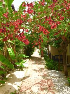 Dove Apart Hotel - 4