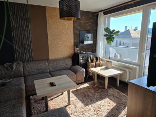 Spacious Apartment in the center of Martin - Martin - 3
