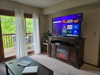 Swan's Woodland Getaway Condo - Reeds Spring - 8