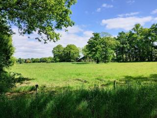 Boerderij Buitink - Kotten - 8