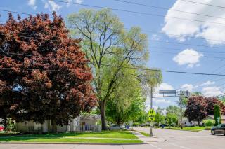 Cottage on Kernan- Sleeps 5 - Appleton - 1