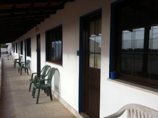 Alentejo Pig dog surf camp - Palhota - 7