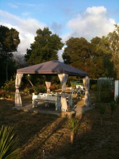 Alentejo Pig dog surf camp - Palhota - 5