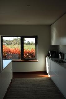 Lusus Wine House - 5
