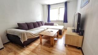 Vacation Apartment In the Black Forest - Villingen-Schwenningen - 0