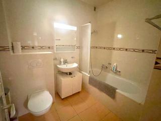 Lausanne superb 2 rooms apartment on the ground floor - Losanna - 2