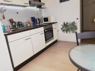 Vacation Apartment In the Black Forest - Villingen-Schwenningen - 7