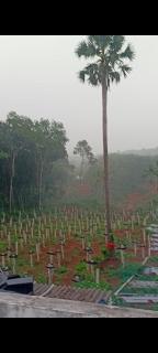 Vijayas agro farm - Jāmb - 1