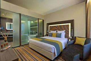 Hotel The PLAZA Luxury Near International Airport By GROSS GROUP - Neu-Delhi - 0