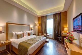 Hotel The PLAZA Luxury Near International Airport By GROSS GROUP - Neu-Delhi - 8