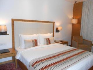 Hotel The PLAZA Luxury Near International Airport By GROSS GROUP - Neu-Delhi - 7