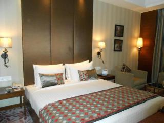 Hotel The PLAZA Luxury Near International Airport By GROSS GROUP - Neu-Delhi - 6