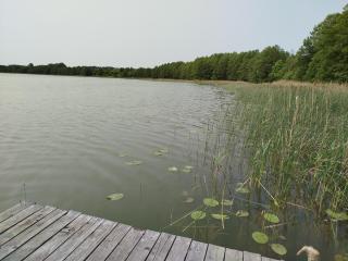 Domek ZOZO nad jeziorem w Okuniowcu - Suwałki - 7