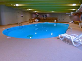 Potawatomi Inn & Cabins - Angola - 7
