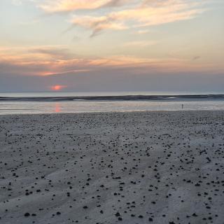 HolidayVilla50mFromBeach VillaDeVacancesPlage à50m - Saint-Pair-sur-Mer - 9