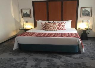 Hotel The PLAZA Luxury Near International Airport By GROSS GROUP - Neu-Delhi - 3
