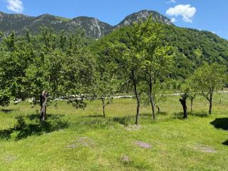Bujtina Frati - Vermosh - 3