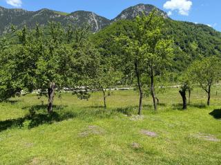 Bujtina Frati - Vermosh - 2