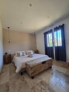 Domaine U Filanciu - Casa Ghjulia - Centru di Corsica - Moltifao - 2