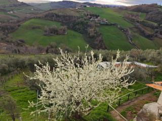 CASA DORIS Montecarotto, Le Marche - Top Lage, Glasfaser WIFI, neu renoviert - Montecarotto - 4