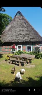Grete - - 6