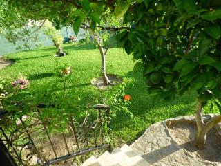 La casita de Nina - Barbate - 5