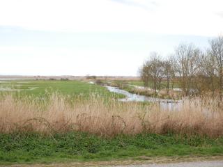 La Grande Pêcherie - 7