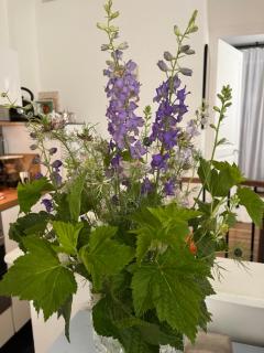 Comme une petite maison - 4