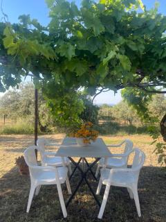 Garden Nest in Vourvourou - Vourvourou - 5
