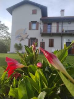 Cascina al Ponte - Nosate - 9