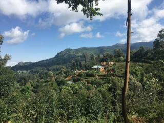 Milemeleni Lodge - Lushoto - 1