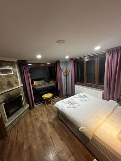 Haylaz otel - Çamlıhemşin - 4