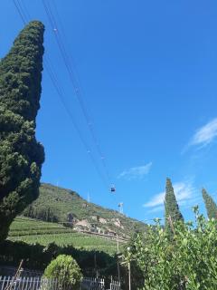 Apt cityfeeling Bolzano - Bolzano - 1