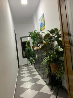 Guesthouse Jasmine - Ksamil - 9