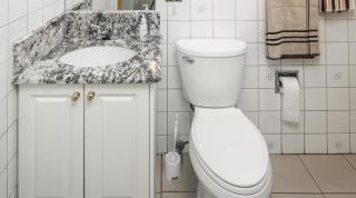 Centrally located 1 Bed 1 Bath Ensuite Cute Guest Suite Private Laundry Pet OK - Calgary - 7
