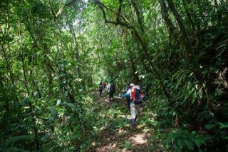 Ecotone Soqtapata All-Inclusive - Manire - 1