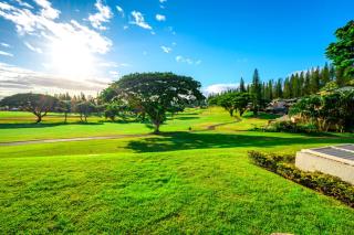 Spacious 3-Bedroom Kapalua Golf Collection - Multi Unit Listing - Same Building - Golf Course Views - 2 Free Rental Cars KGV-16P3T4 - Kapalua - 0