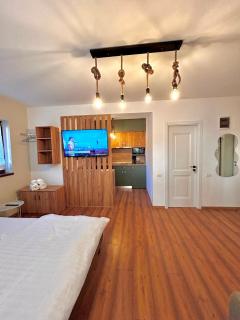 Alpin Apartment 6 - Buşteni - 6