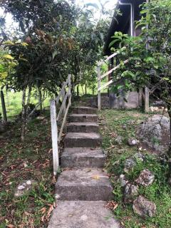 Cabaña El Bosque - Turrialba - 5