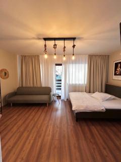Alpin Apartment 6 - Buşteni - 4