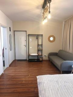 Alpin Apartment 6 - Buşteni - 3