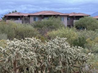 Resort Casita No 236 - Oro Valley - 6