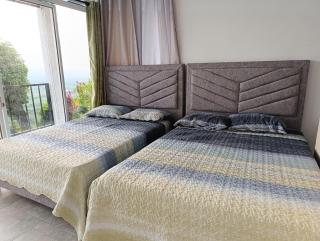 Altamira Luxury - Palmira - 6