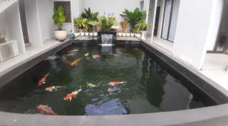 Villa Di Pancawati Bogor - Ciherangsating - 4
